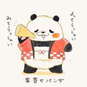 ヒメ日記 2026/05/24 08:53 投稿 千鶴 ぎんねこ