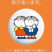 ヒメ日記 2026/05/25 08:54 投稿 千鶴 ぎんねこ