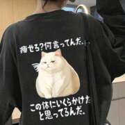 ヒメ日記 2026/05/28 09:02 投稿 千鶴 ぎんねこ