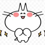 ヒメ日記 2026/06/07 08:48 投稿 千鶴 ぎんねこ