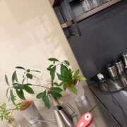 ヒメ日記 2026/03/30 20:50 投稿 さざえ 奥様特急　池袋・大塚店