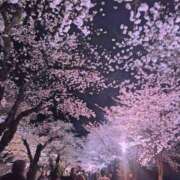 ヒメ日記 2026/04/06 19:03 投稿 鶴見 華恋人(カレント)