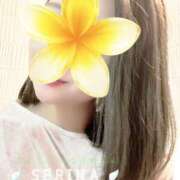 ヒメ日記 2026/04/09 20:15 投稿 せりな スイカ