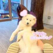 葉月ことね すきなもの♥️ Delice(デリス)横浜店