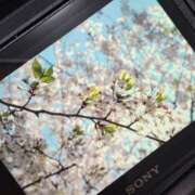 ヒメ日記 2026/04/04 13:00 投稿 るりこ 奥鉄オクテツ東京店（デリヘル市場）