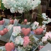 ヒメ日記 2026/04/23 14:00 投稿 るりこ 奥鉄オクテツ東京店（デリヘル市場）