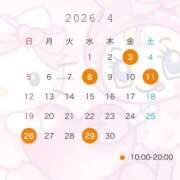 志穂 🙇🏻‍♀️ シャングリラ