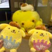 ヒメ日記 2026/04/24 20:08 投稿 まゆ 若葉