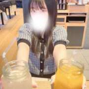 ヒメ日記 2026/06/29 06:02 投稿 まゆ 若葉