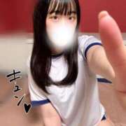 ヒメ日記 2026/06/29 11:15 投稿 まゆ 若葉