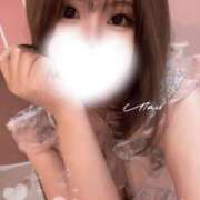 ヒメ日記 2026/04/12 07:15 投稿 うたう 若葉