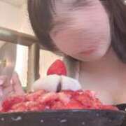 ヒメ日記 2026/07/23 10:49 投稿 ちはる 若葉