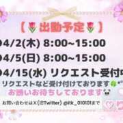 ヒメ日記 2026/04/02 09:00 投稿 りこ 若葉