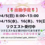 ヒメ日記 2026/04/04 20:49 投稿 りこ 若葉