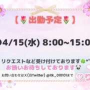 ヒメ日記 2026/04/14 12:53 投稿 りこ 若葉