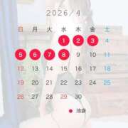 ヒメ日記 2026/03/31 23:57 投稿 すみか 若葉