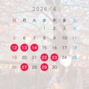 ヒメ日記 2026/04/10 21:03 投稿 すみか 若葉