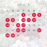 ヒメ日記 2026/06/02 22:07 投稿 すみか 若葉