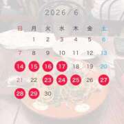 ヒメ日記 2026/06/12 21:44 投稿 すみか 若葉