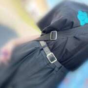 ヒメ日記 2026/04/11 10:30 投稿 ここ 若葉