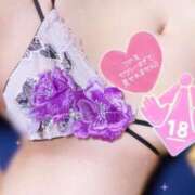 ヒメ日記 2026/04/23 11:32 投稿 ここ 若葉