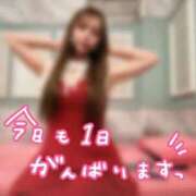 ヒメ日記 2026/05/30 06:54 投稿 ここ 若葉