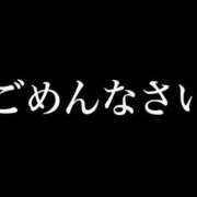 ヒメ日記 2026/06/10 10:55 投稿 ここ 若葉
