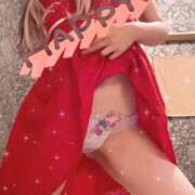 ヒメ日記 2026/06/17 12:52 投稿 ここ 若葉