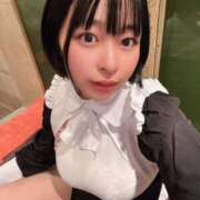 ヒメ日記 2026/04/14 06:26 投稿 田中 若葉