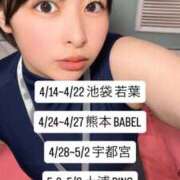 ヒメ日記 2026/04/14 21:02 投稿 田中 若葉