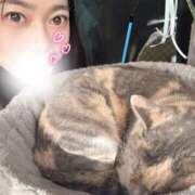 ヒメ日記 2026/04/26 14:32 投稿 まき 若葉