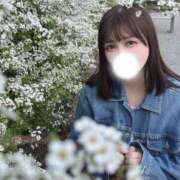 ヒメ日記 2026/03/31 10:07 投稿 こころ 若葉