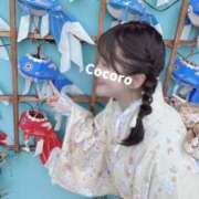 ヒメ日記 2026/04/03 12:03 投稿 こころ 若葉