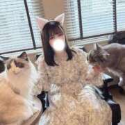 ヒメ日記 2026/04/05 21:57 投稿 こころ 若葉