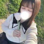 ヒメ日記 2026/04/06 12:15 投稿 こころ 若葉