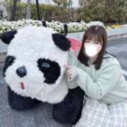 ヒメ日記 2026/04/22 11:23 投稿 こころ 若葉