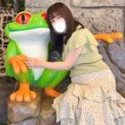ヒメ日記 2026/05/04 12:30 投稿 こころ 若葉