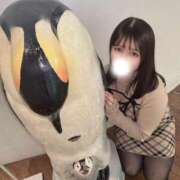 ヒメ日記 2026/05/07 12:31 投稿 こころ 若葉