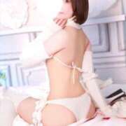 ヒメ日記 2026/04/20 11:15 投稿 みみ 若葉