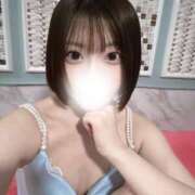 ヒメ日記 2026/04/24 09:35 投稿 みみ 若葉