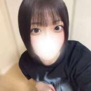 ヒメ日記 2026/07/15 18:30 投稿 みみ 若葉