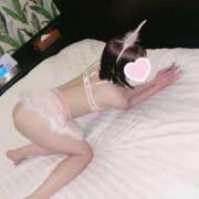 ヒメ日記 2026/04/21 07:01 投稿 なる 若葉