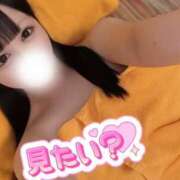 ヒメ日記 2026/07/29 06:32 投稿 なの 若葉