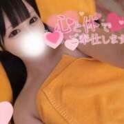 ヒメ日記 2026/09/11 06:28 投稿 なの 若葉