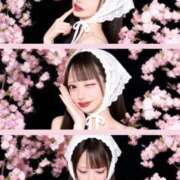 ヒメ日記 2026/04/10 18:29 投稿 とや 若葉