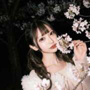 ヒメ日記 2026/05/05 06:54 投稿 とや 若葉