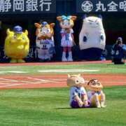 ヒメ日記 2026/05/05 18:56 投稿 とや 若葉