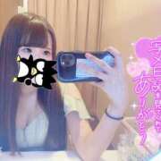 ヒメ日記 2026/04/20 08:01 投稿 きらら 若葉