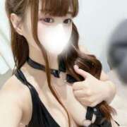 ヒメ日記 2026/04/14 06:00 投稿 くらげ 若葉