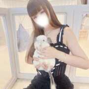 ヒメ日記 2026/08/16 00:34 投稿 くらげ 若葉